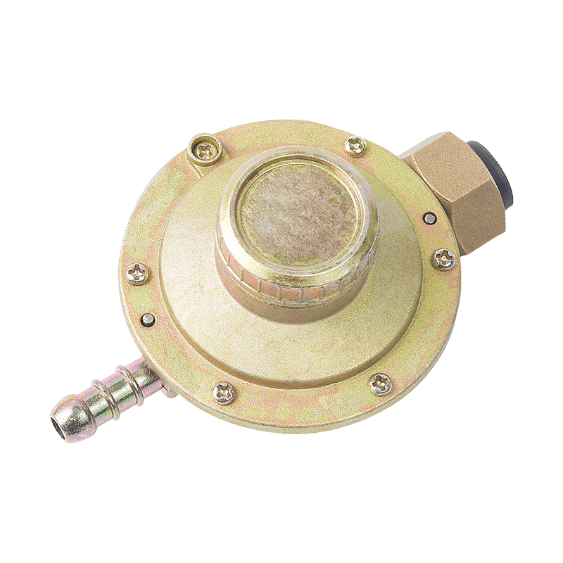 Premium compacte LPG-campinggasregelaar voor draagbare gasfles